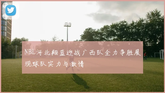 NBL河北翔蓝迎战广西队全力争胜展现球队实力与激情