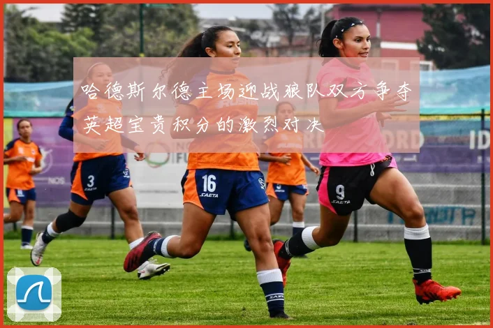 哈德斯尔德主场迎战狼队双方争夺英超宝贵积分的激烈对决