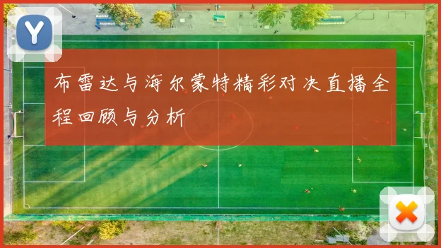 布雷达与海尔蒙特精彩对决直播全程回顾与分析